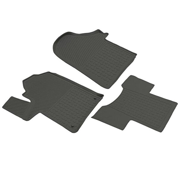 Ferrous Oto Paspası