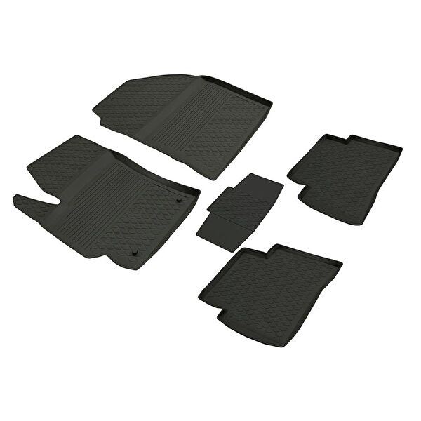 Ferrous Oto Paspası