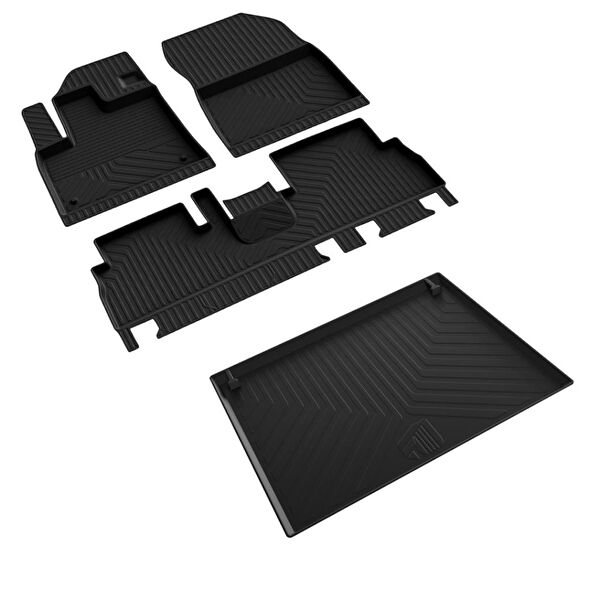 Ferrous Oto Paspası