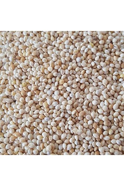 YALÇIN BABA YEM MAMA Kuş Yemi, Kraker