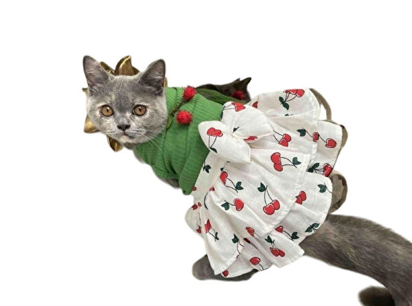 Gedyco Köpek Elbisesi