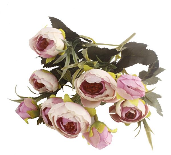 Nettenevime Yapay Çiçek, Meyve