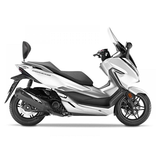 Shad Motosiklet Sissy Bar & Sırtlık