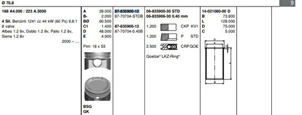 GOETZE Krank, Piston ve Contalar