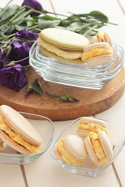 Lav Servis, Sunum Tabakları