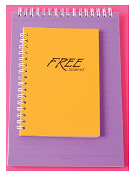 Keskin Color Defter, Ajanda