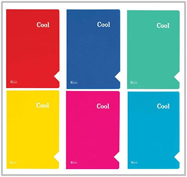 Keskin Color Defter, Ajanda