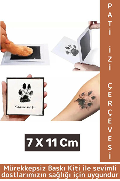 Wintoup Kedi Ödülleri