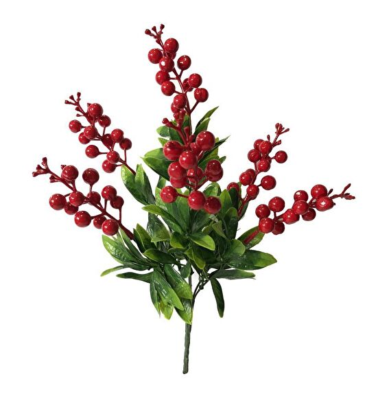 Nettenevime Yapay Çiçek, Meyve