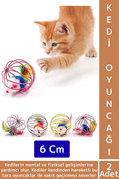Wintoup Kedi Oyuncakları