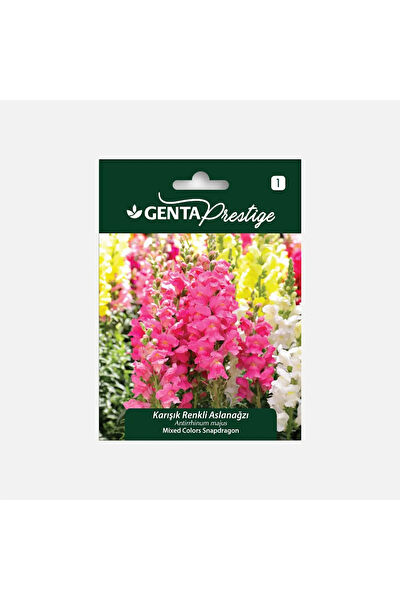 Genta Prestige Tohum