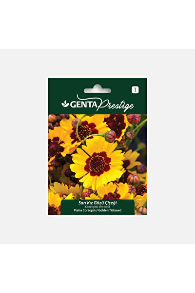 Genta Prestige Tohum