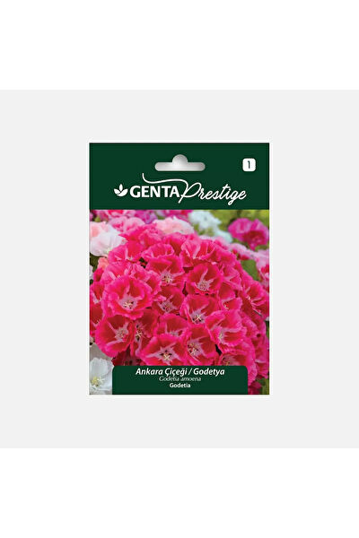 Genta Prestige Tohum