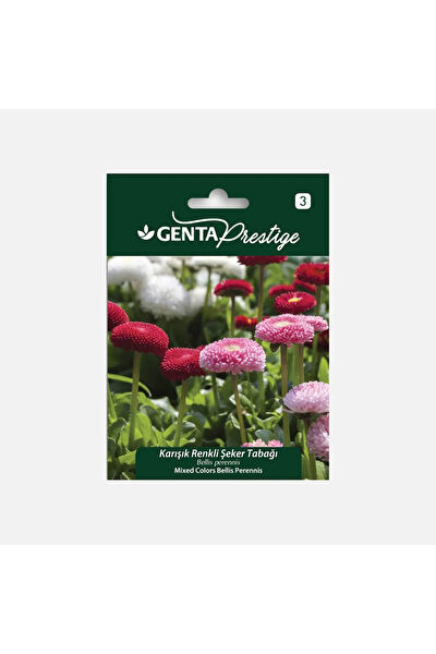 Genta Prestige Tohum