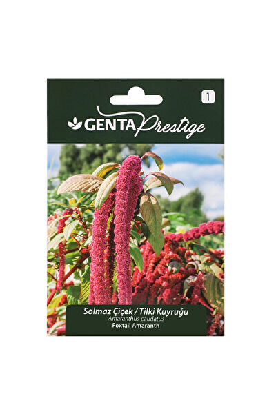 Genta Prestige Tohum