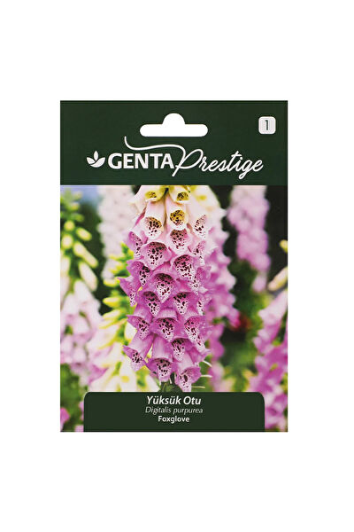 Genta Prestige Tohum