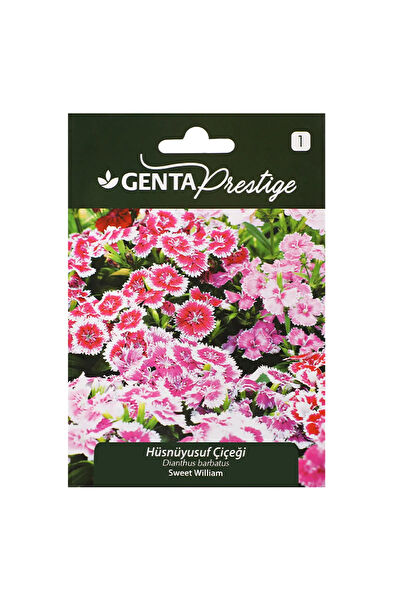 Genta Prestige Tohum