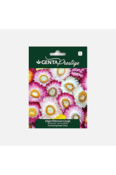 Genta Prestige Tohum