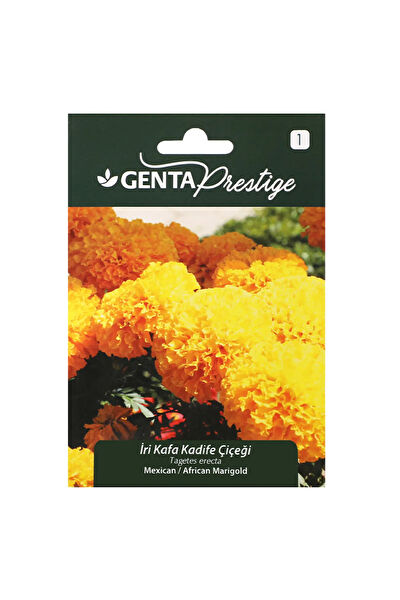 Genta Prestige Tohum