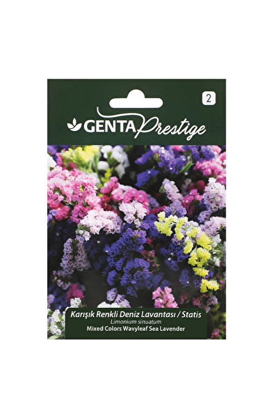 Genta Prestige Tohum