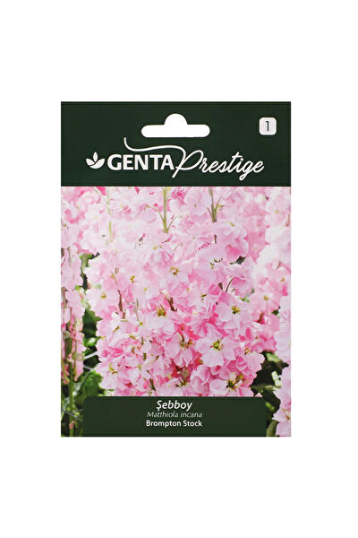 Genta Prestige Tohum