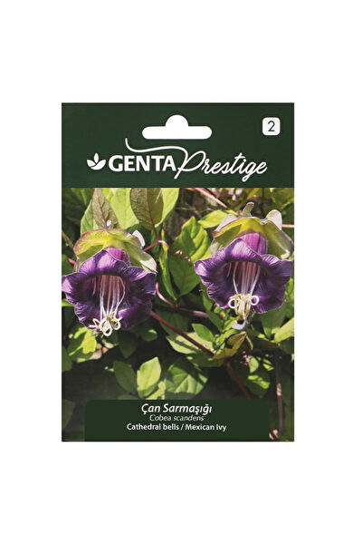 Genta Prestige Tohum