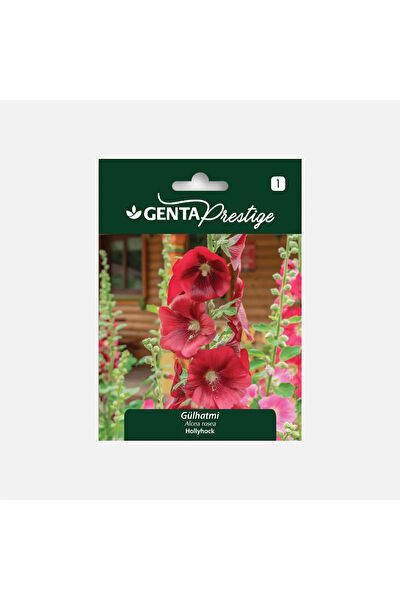 Genta Prestige Tohum