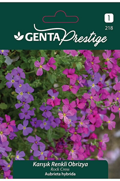 Genta Prestige Tohum