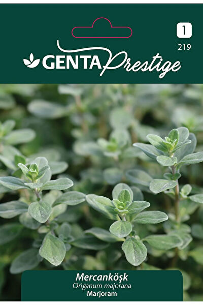 Genta Prestige Tohum