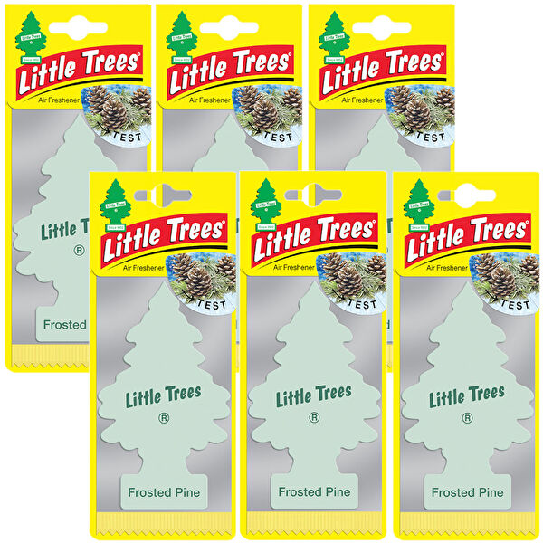 Car Freshner Oto Kokuları