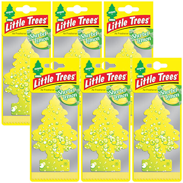 Car Freshner Oto Kokuları