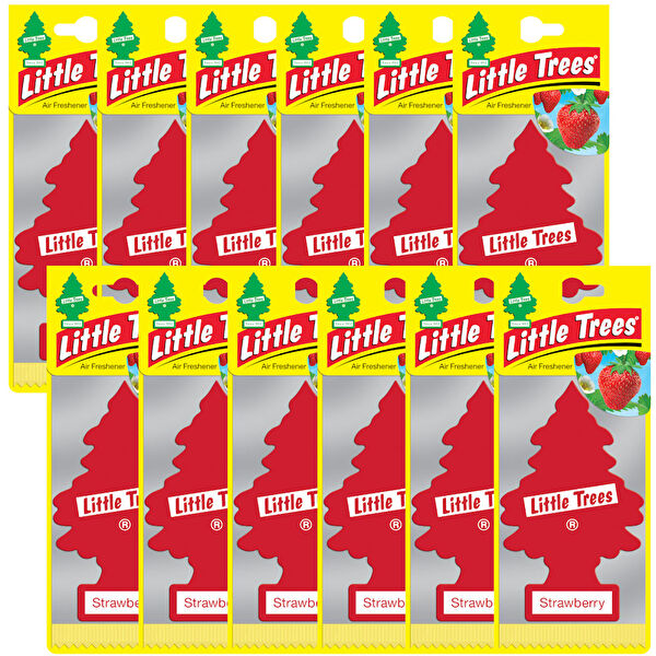 Car Freshner Oto Kokuları