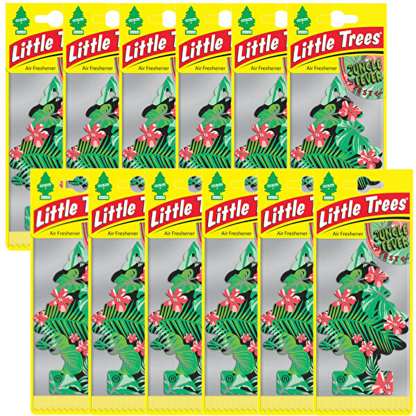 Car Freshner Oto Kokuları