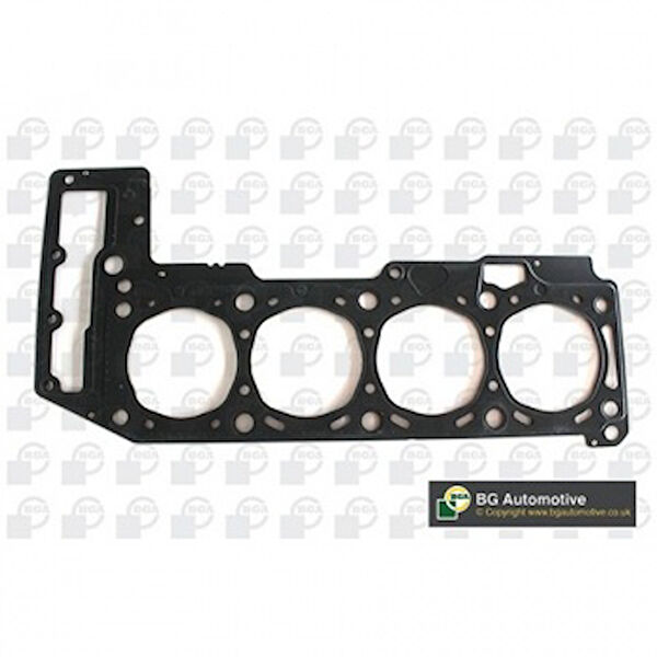 Royal Krank, Piston ve Contalar