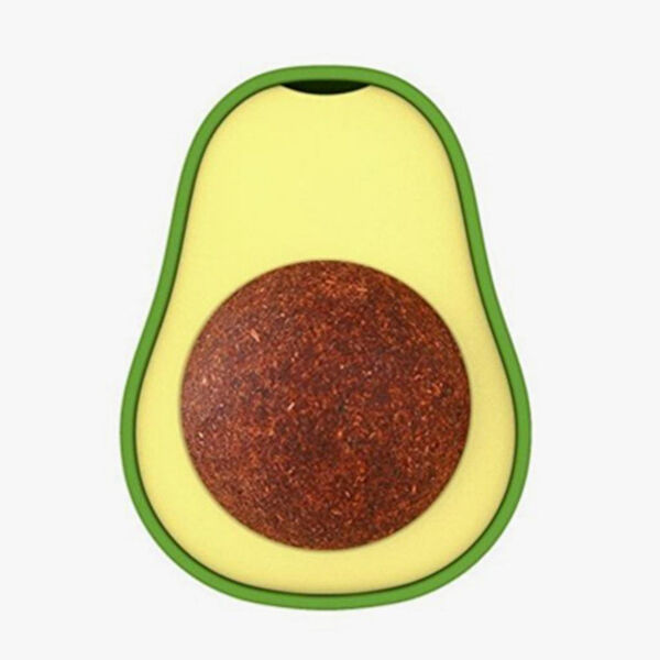 Petinka Kedi Çimleri