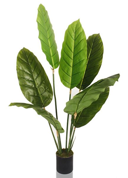 Nettenevime Yapay Çiçek, Meyve