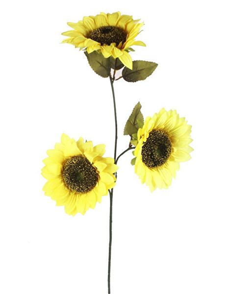 Nettenevime Yapay Çiçek, Meyve