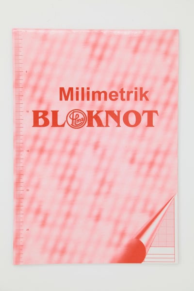 Dilman Defter, Ajanda