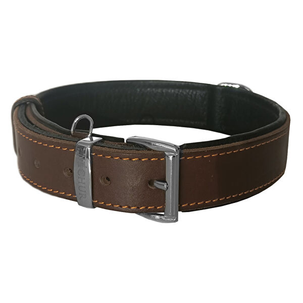 Markapet Köpek Tasmaları