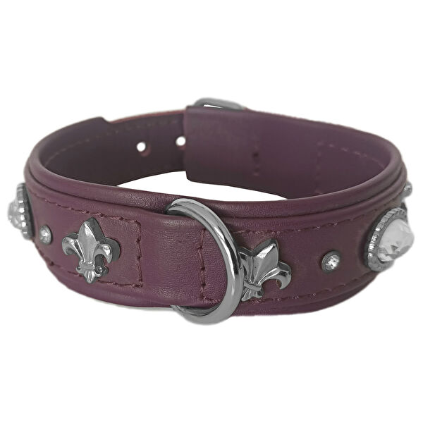 Markapet Köpek Tasmaları