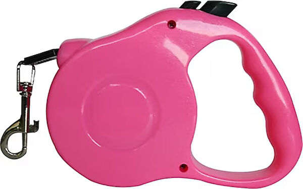 Markapet Köpek Tasmaları