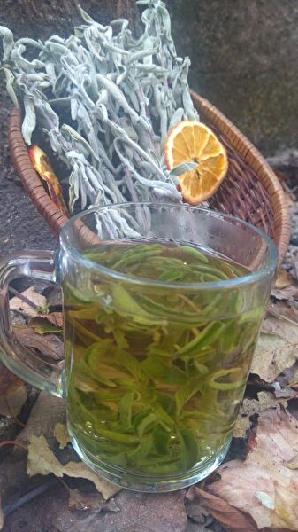 Neb'S Naturel Çiftçi Kadın Ürünleri