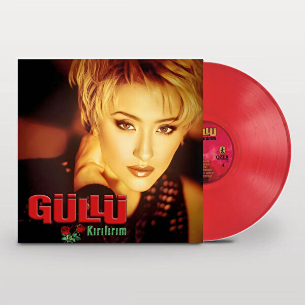 Şahin Özer Müzik Plak