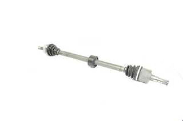 BSG Aks Körük & Kafası