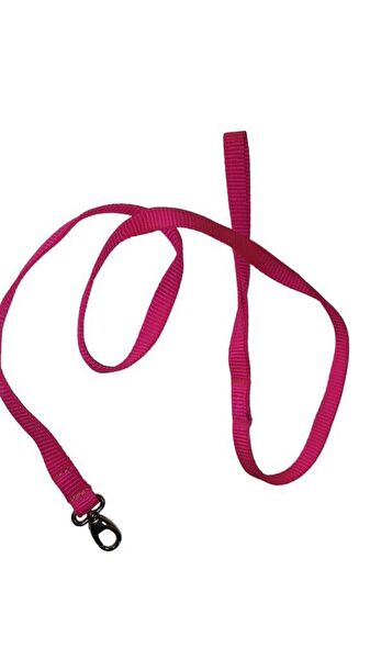 Lovely Köpek Tasmaları