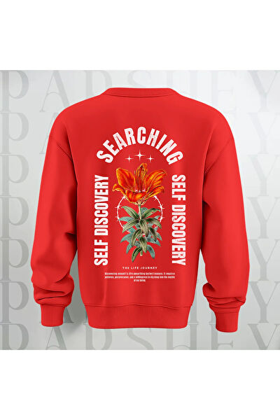 PARSHEY Erkek Sweatshirt