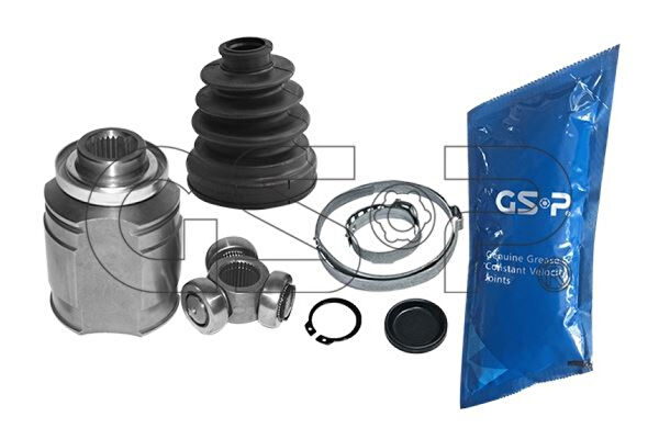 GSP Aks Körük & Kafası