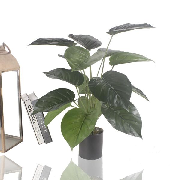 Nettenevime Yapay Çiçek, Meyve