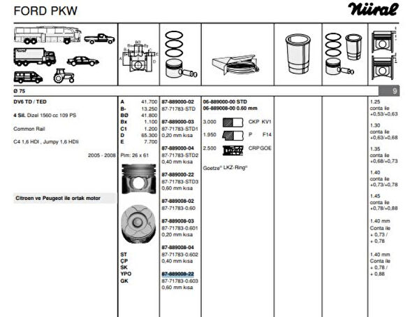 GOETZE Krank, Piston ve Contalar
