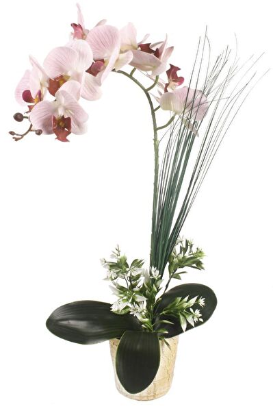 Nettenevime Yapay Çiçek, Meyve